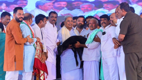 CM Siddaramaiah Challenges PM Modi s Lies Claims BJP Leaders Spread Falsehoods In By-Election