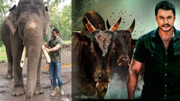 Darshan thoogudeepa is going to mysuru to see animals he has raised