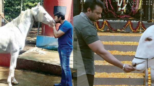 Darshan thoogudeepa is going to mysuru to see animals he has raised