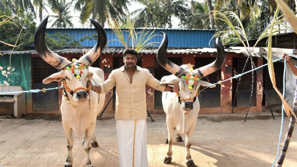 Actor Darshan Thoogudeepa Relaxes At Mysuru Farmhouse Post-Bail In Renukashwami Case