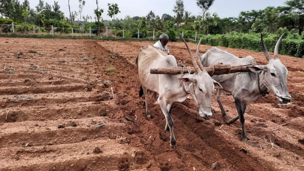 PM-Kisan Samman fund from Rs 6 000 to Rs 12 000 per year