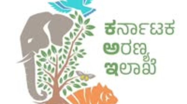 Savandurga Trek Open For Tourists Online Booking Must