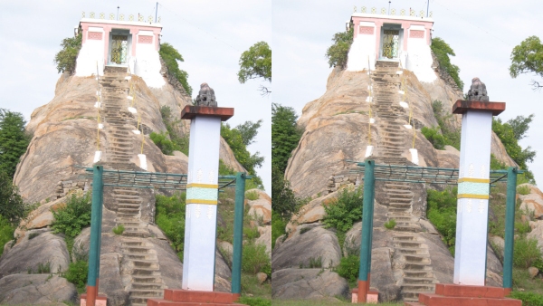 75th Mahamastakabhisheka Amrit Mahotsav Celebrated For Gommateshwara At Gommatagiri 75th Mahamastakabhisheka Amrit Mahotsav Celebrated For Gommateshwara At Gommatagiri