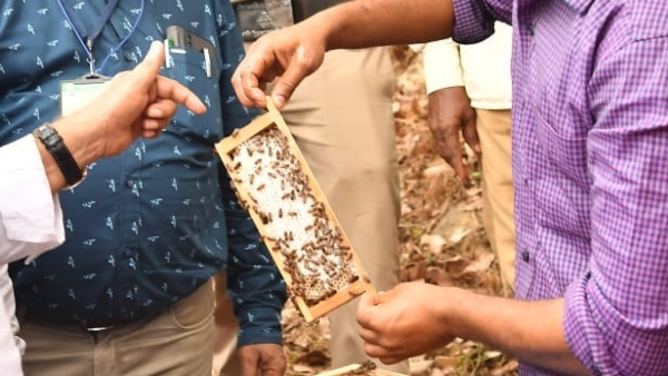 Karnataka Honey Sale New Brand And Logo Announcement