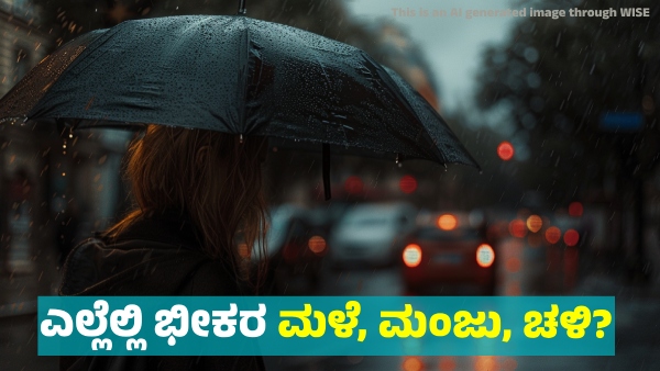 Weather Forecast Heavy rainfall forecast in these states till January 6 2025
