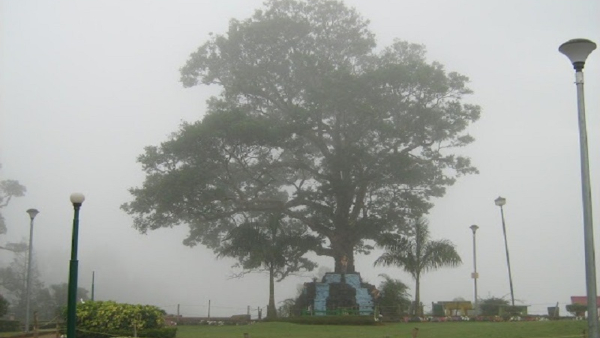 Travel News Discover The Best Tourist Attractions In Madikeri