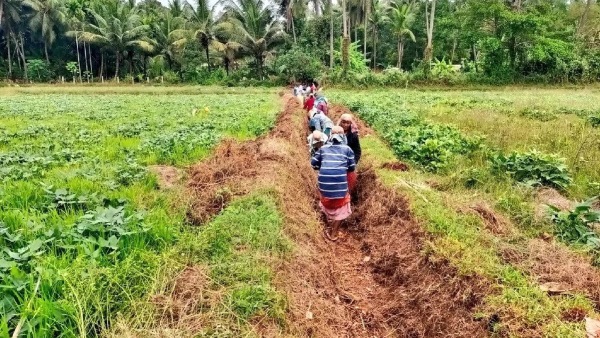 NREGA Scheme Empowers Women After Tragic Loss