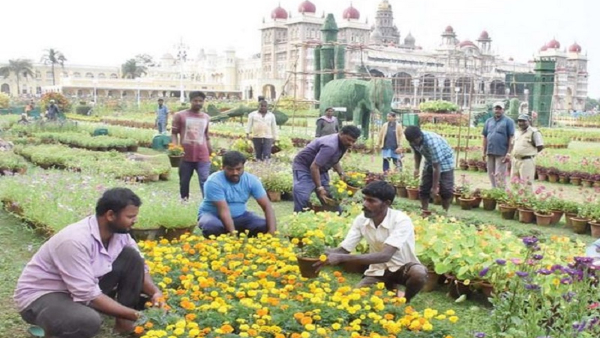 December Special Event Celebration Preparation In Mysore Palace December Special Event Celebration Preparation In Mysore Palace