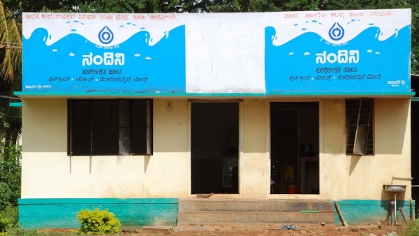 KMF All Set To Supply Nandini Milk To Rajasthan From Shivamogga