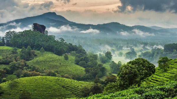 Most Visited Tourist Destinations In Karnataka For New Year Celebrations