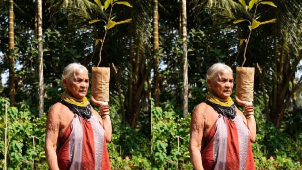 Padma Shri Awardee Tulasi Gowda Known As Vriksha Mata Passes Away At 86 Padma Shri Awardee Tulasi Gowda Known As Vriksha Mata Passes Away At 86