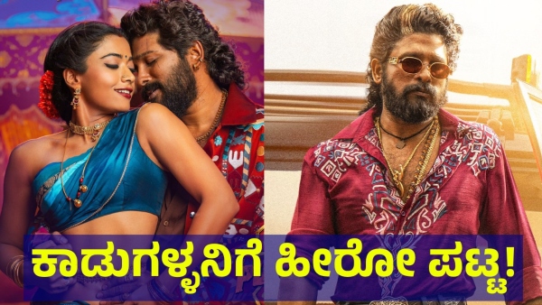 Pushpa-2 Movie Collection And This Is What Audience Saying About The Movie