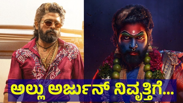 Pushpa-2 Movie Collection And This Is What Audience Suggestions To The Allu Arjun