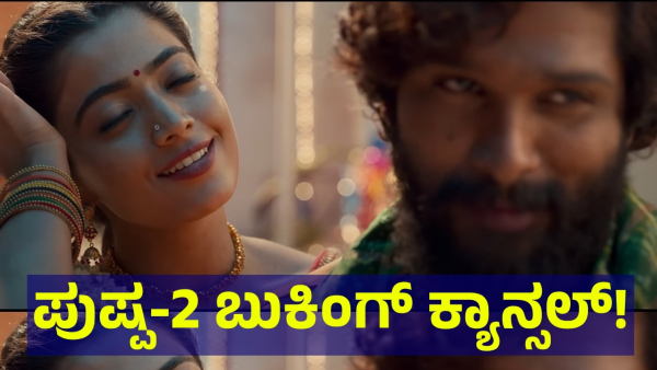 Pushpa-2 Release Date And 3d Version Of Pushpa-2 Movie