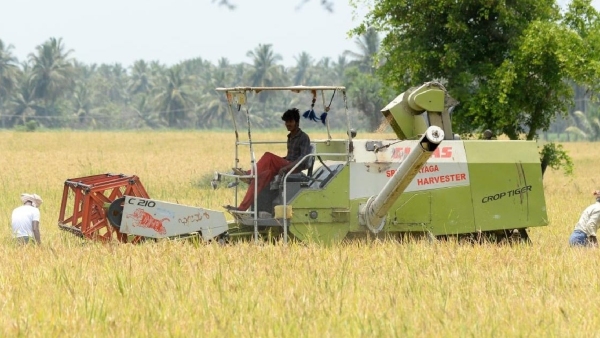 R Ashok Urges Government to Provide Relief for Cyclone-Damaged Crops in Ramanagara