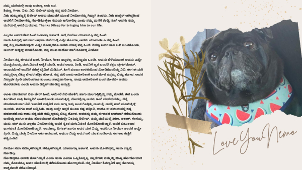 Kannada Actor Shiva Rajkumar Beloved Pet Nemo Passes Away Family Shares Grief