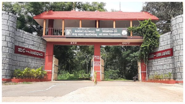 Apply For Two Post In Shivamogga Tiger And Lion Safari