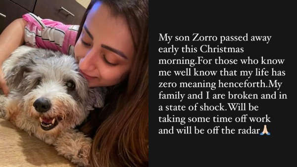 Actress Trisha Krishnan Shares Emotional Post On Pet Dog Demise
