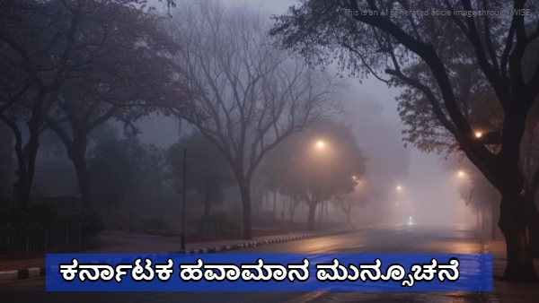 IMD Predicts Cold and Foggy Weather will Continue in this Districts of Karnataka next 5 days