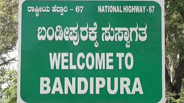 BJP MLA BasanaGowda Patil Yatnal Opposes Vehicular Traffic At Night In Bandipur