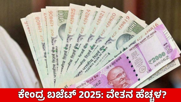 8th Pay Commission Central Govt Employees Expect Good news in Budget 2025 on Salary Hike