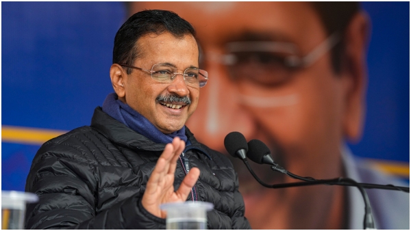 delhi election 2025 phalodi satta bazar predicts sharp fall in aap tally