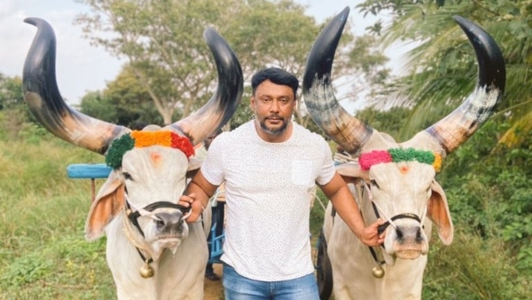 Actor Darshan Thoogudeepa To Seek Extension Of Court Permission To Stay In Mysuru
