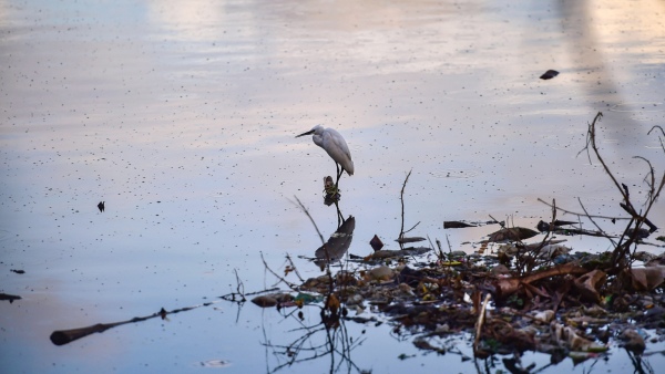 Shock For Those Encroached on lake land in Bengaluru Shock For Those Encroached on lake land in Bengaluru