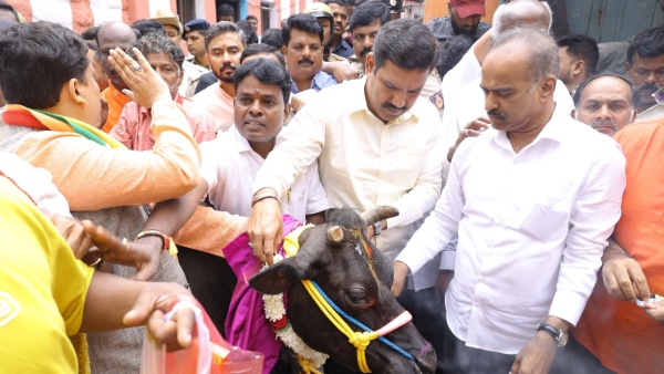 BJP Distributes A New Cow To Owner After Crime Incident In Bengaluru BJP Distributes A New Cow To Owner After Crime Incident In Bengaluru