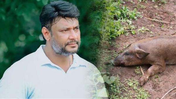 black magic against darshan thoogudeepa d-boss back to mysuru