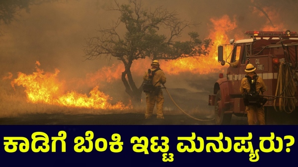 California Wildfire Videos and Photos Go Viral on Social Media California Wildfire Videos and Photos Go Viral on Social Media