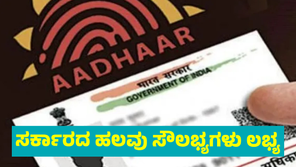 Those Holding These 8 Cards May Get Many Government Benefits