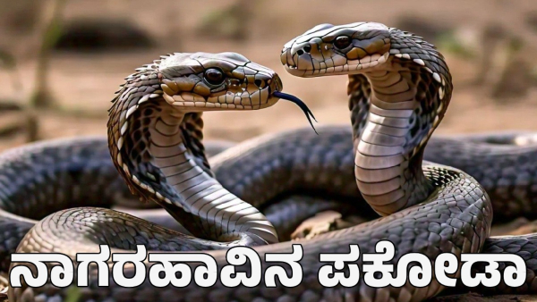 Cobra pakoda making video goes viral demand for cobra blood is also high Cobra pakoda making video goes viral demand for cobra blood is also high