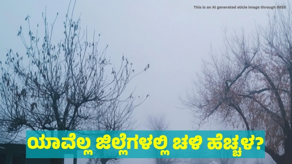 Heavy Cold wave Alert In Many district of Karnataka including Bengaluru till January 15