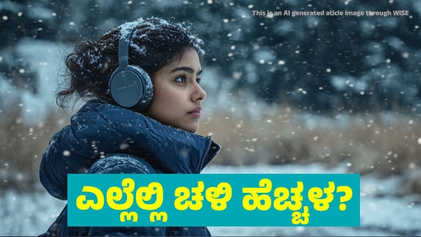 Karnataka Weather Heavy Cold Wave for Next 5 Days in These Districts of State from January 22