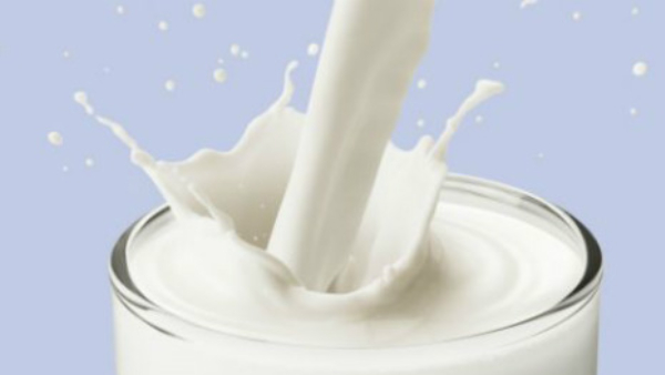 Southern Dairy Summit 2025 in Bengaluru on Jan 9 to 11 Honoured to Five Successful dairy Women Southern Dairy Summit 2025 in Bengaluru on Jan 9 to 11 Honoured to Five Successful dairy Women