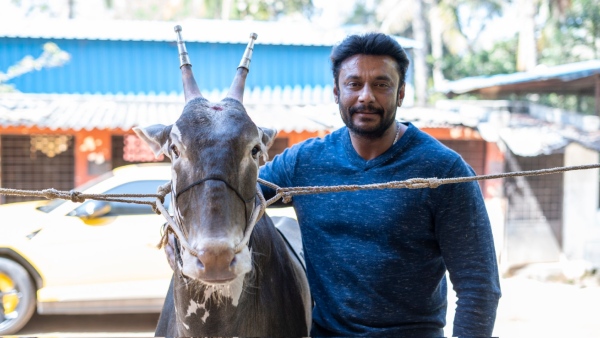 Supreme Court To Hear Bail Cancellation Plea Against Actor Darshan Thoogudeepa On January 24 Supreme Court To Hear Bail Cancellation Plea Against Actor Darshan Thoogudeepa On January 24