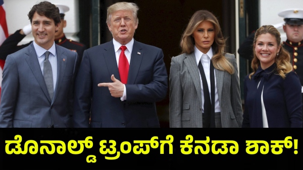 Canadian Leader Responds To The Donald Trump s 51st State Offer