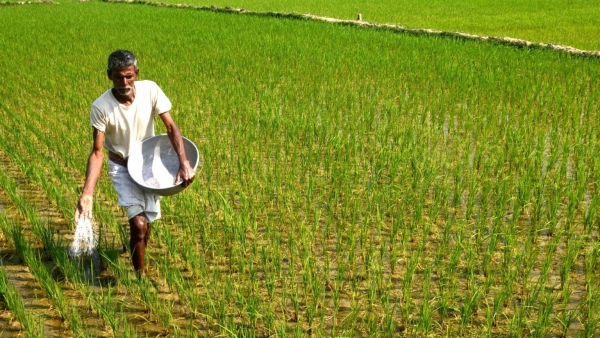 Farmer ID Mandatory For Enrolment To PM Kisan Scheme