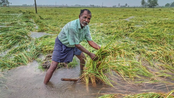 Union Budget 2025 Nirmala Sitharaman Key Announcements For Farmers