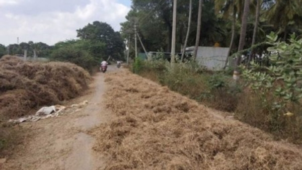 Farmers Drying Crops In Road At Mysuru And Chamarajanagar