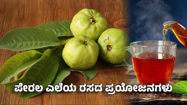 guava leaf juice health benefits in kannada