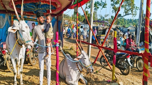 Hemagiri Festival in Mandya Celebrates Agriculture and Nature s Beauty