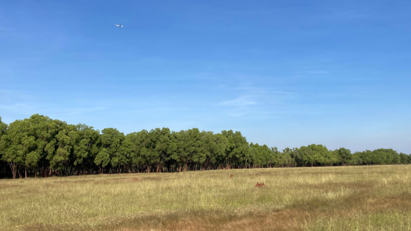 Hesaraghatta Grasslands The Green Lung Space Crucial For Future Bengaluru