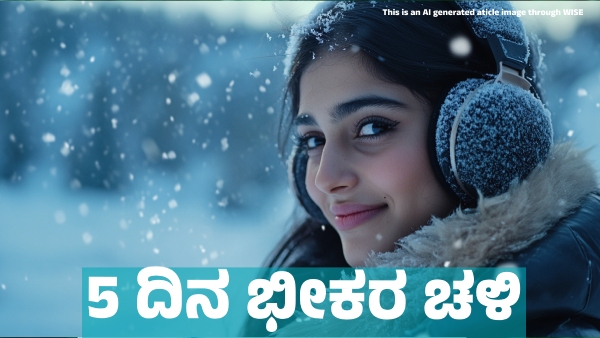 Karnataka Weather Heavy Cold Wave for Next 5 Days in These Districts of State from January 23