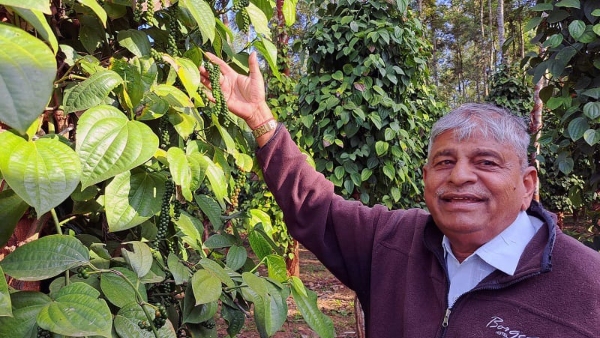 KR Pete Farmer Subbe Gowda Innovative Farming Practices Boosts Income In Mandya KR Pete Farmer Subbe Gowda Innovative Farming Practices Boosts Income In Mandya