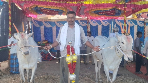 Mysuru KR Nagar Chunchanakatte Livestock Fair Specialty