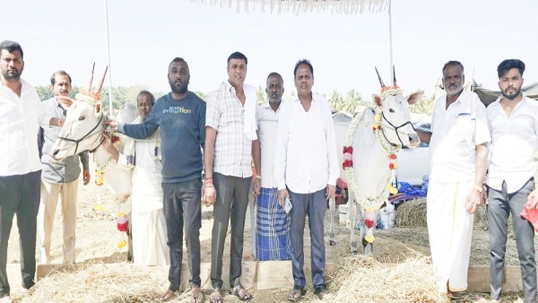 Mysuru KR Nagar Chunchanakatte Livestock Fair Specialty