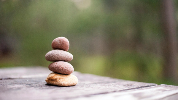 Using Our Senses Wisely A Path to Meaningful Living and Lasting Happiness