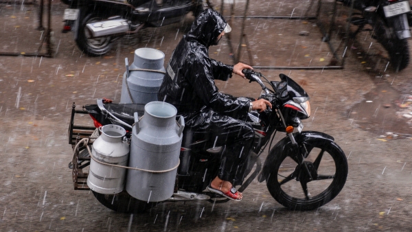 Milk Adulteration Allegation In Chikkaballapur Dairy Viral Video Sparks Outrage Milk Adulteration Allegation In Chikkaballapur Dairy Viral Video Sparks Outrage